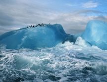 Many penguins on the blue ice in the ocean