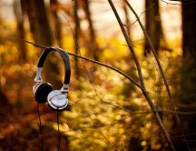 Headphones hanging on a branch in the forest