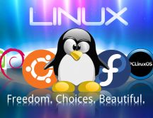 Freedom, Choices and Beautiful - Linux wallpaper