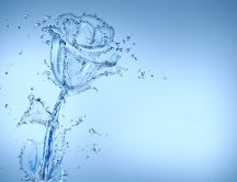Digital art design - rose made from water drops