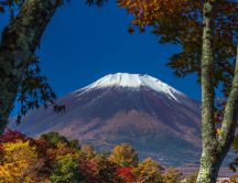 White mountain top Fuji and colorful forest