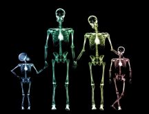 Family skeletons in different colors on a black space