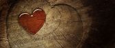 A red heart in the wood - Love wallpaper