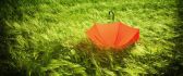 Red umbrella in the green grass on the field