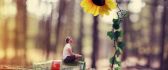 Small man and a big sunflower - Funny wallpaper