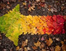 An arrow made of many colorful leaves
