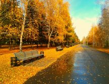 Sunny day in the park after an autumn rain - HD wallpaper