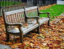 Dry leaves in the park - Wood bench