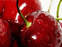 Macro delicious fresh cherry - vitamins all day