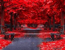 Red Autumn - Park alley in the mirror