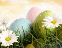 Colourful Easter Eggs in the grass - spring flowers