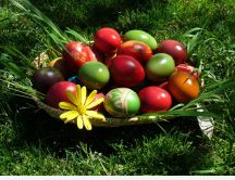 Painted eggs in a basket on the grass - Happy Easter Holiday