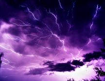 Purple sky - furious storm and lots of lightnings