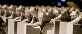 3D printed wolf figurines crawling up stairs