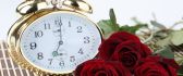 Seven clock in the morning - beautiful red roses