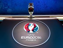 Trophy UEFA Euro 2016 France - Football game