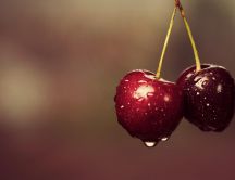 Delicious fruits of June - Cherries