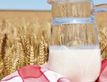 Drink a glass of milk - golden wheat field - HD wallpaper