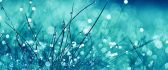 Frozen grass and big water drops - macro HD wallpaper
