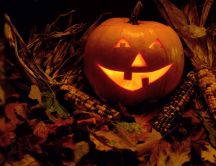 Funny Halloween pumpkin and corn - HD wallpaper