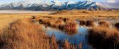 White mountains and amber field - Late Autumn wallpaper