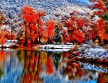 Wonderful nature landscape -Autumn forest - snow on mountain