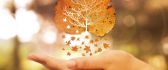 Wonderful tree in a leaf - abstract Autumn wallpaper