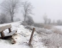 Fog over the white nature - Winter season