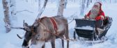 Real Santa Claus and his reindeer in the white forest