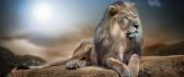 Leon King - The most famous wild animal