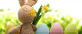 Friends - Brown rabbit with spring flowers and Easter eggs