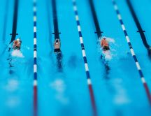 Swim competition men - Wonderful sport underwater