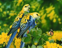 Two wonderful parrots in the jungle - Nature wallpaper