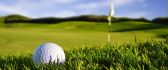 Macro golf ball on the sport field - HD wallpaper