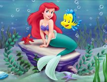 Ariel - the little mermaid and her friend fish - Cartoon TV