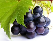 Macro Autumn fruit - Delicious red grape