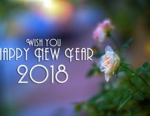 White and pink roses - Happy New Year 2018