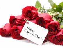 Happy Valentines Day celebrated with red roses as gift