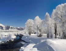 Cold mountain river and wonderful white trees full with snow