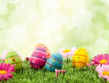 Painted colorful Easter eggs on the grass near flowers