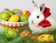 Fluffy white rabbit and a basket full with Easter eggs