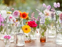 Beautiful spring flowers in bottles on the table