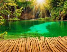 Green water in a wonderful natural park in Croatia -Plitvice