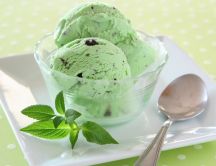 Refresh mint ice cream for a hot summer day