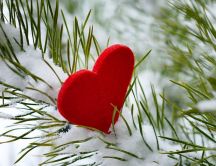 Red heart on a branch of tree full with snow - HD wallpaper