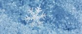 Perfect snowflake on a cold winter day - HD wallpaper season