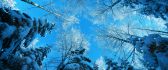 Good morning sunny winter day - Wonderful blue sky