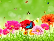 Beautiful butterflies on colorful spring flowers - Spring