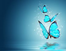 Blue azur butterflies - Mirror in the water - HD wallpaper