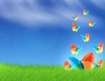 Vista butterflies for desktop - HD wallpaper